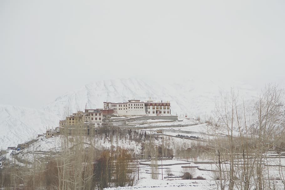 Phyang Snow Valley