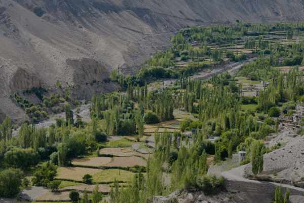 Temisgam Village